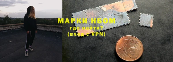 гашик Алексин