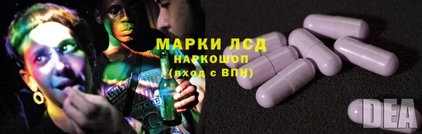 гашик Алексин