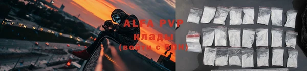 прущие грибы Тобольск