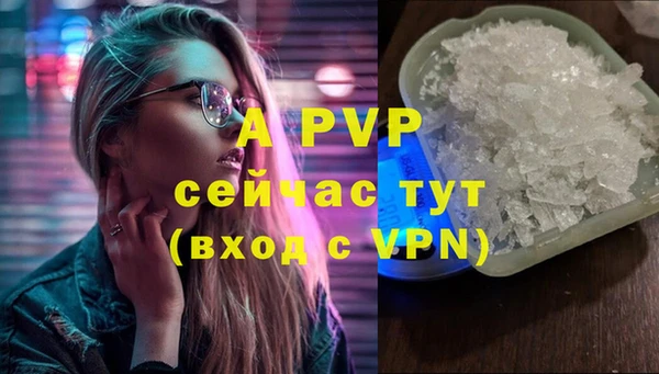гашик Алексеевка