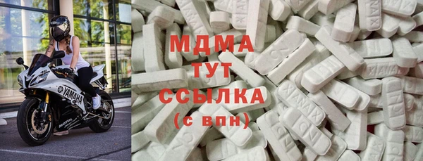 гашик Алексин