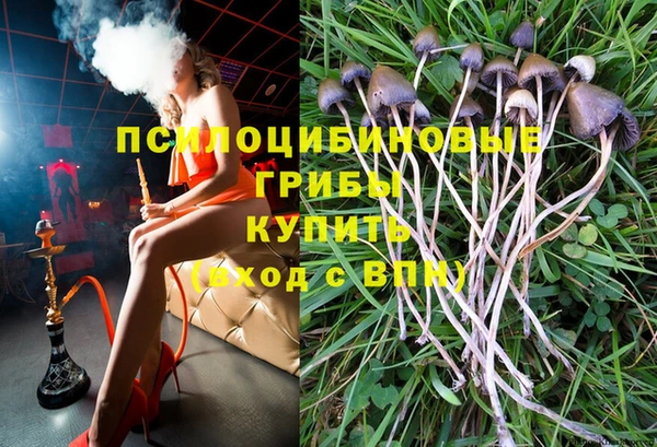 трава Алзамай