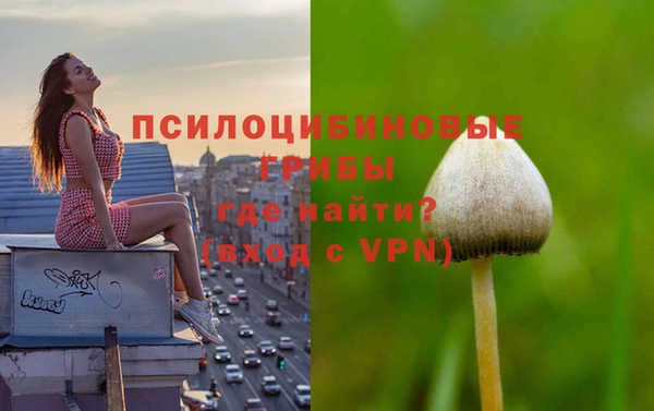 гашик Алексеевка
